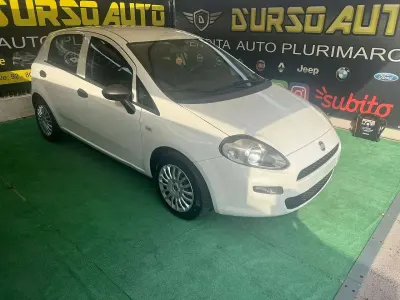 Usata Fiat Punto Evo