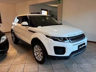 Usata Land Rover Range Rover evoque 150 CV (110 kW) 2019 Bianco SUV