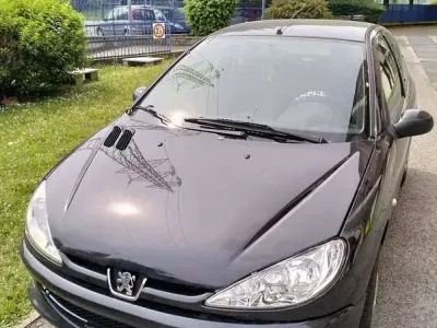 Usata Peugeot 206