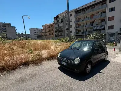 Usata VW Polo