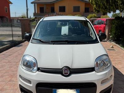 Usata Fiat Panda 69 CV (50 kW) 2021 Utilitaria