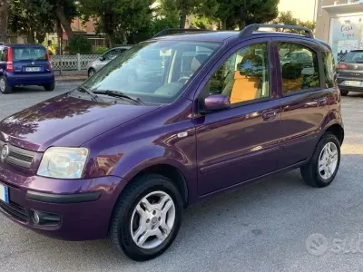 Usata Fiat Panda Dynamic 60 CV (44 kW) 2009 Viola Utilitaria