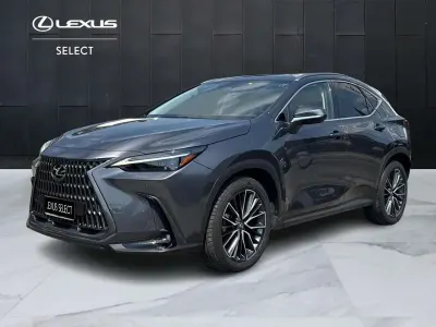 Usata Lexus NX300 Luxury Line 309 CV (227 kW) 2023 Grigio SUV