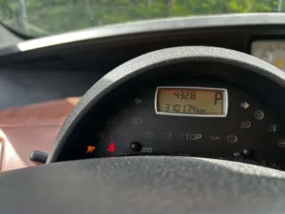 Usata Lancia Phedra