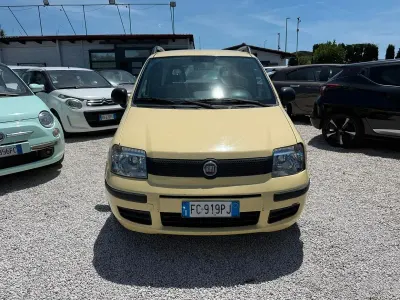 Usata Fiat Panda Dynamic 69 CV (50 kW) 2011 Giallo Utilitaria