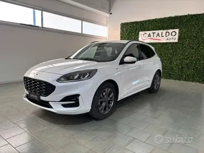 Usata Ford Kuga ST-Line 120 CV (88 kW) 2021 Bianco SUV