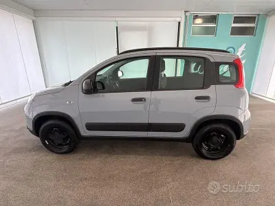 Usata Fiat Panda 4x4 Wild 85 CV (62 kW) 2021 Grigio Utilitaria