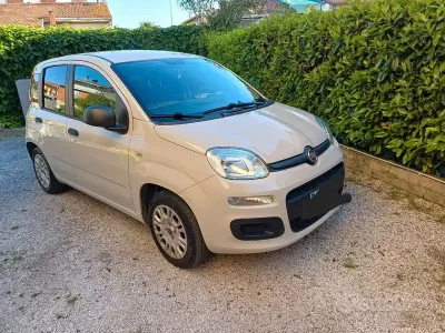 Usata Fiat Panda 69 CV (50 kW) 2016 Bianco Utilitaria