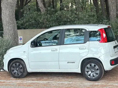 Usata Fiat Panda 69 CV (50 kW) 2016 Bianco Utilitaria