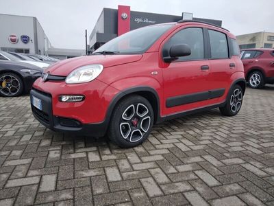 usata Fiat Panda Cross 1.0 FireFly S&S Hybrid City del 2022 usata a Alessandria