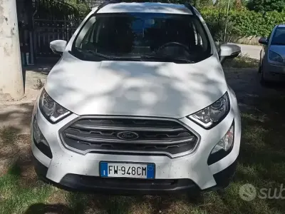Usata Ford Ecosport 99 CV (72 kW) 2019 Bianco SUV
