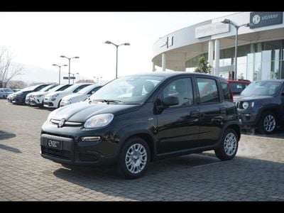 Usata Fiat Panda S 70 CV (51 kW) 2024 601 Utilitaria