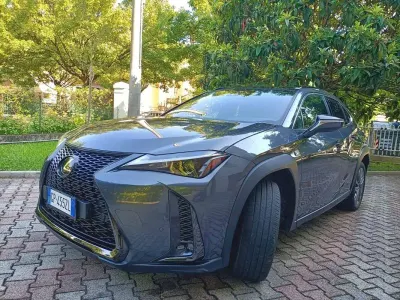 Usata Lexus UX 250h