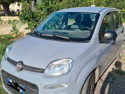 usata Fiat Panda 3ª serie - 2022