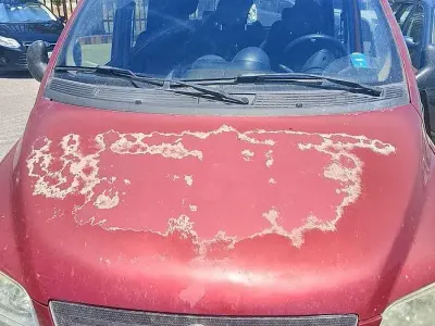 Usata Fiat Multipla