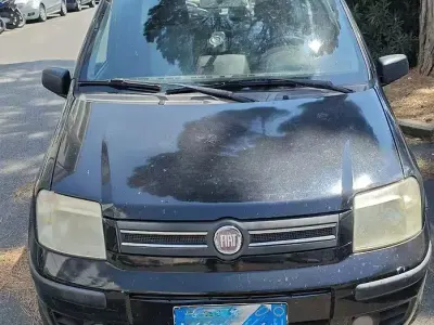 Usata Fiat Panda Dynamic 60 CV (44 kW) 2009 Nero Utilitaria