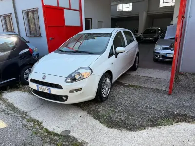 Usado Fiat Punto Easy 75 CV (55 kW) 2015 Blanco Utilitario