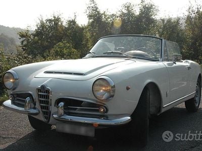 Usata Alfa Romeo Giulia Spider Veloce 1960 Bianco Cabrio