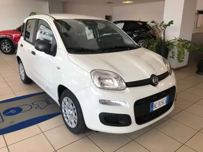Nuova Fiat Panda Icon 65 CV (47 kW) 2026 Bianco gelato Utilitaria