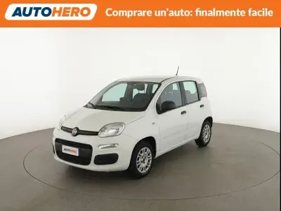 Usata Fiat Panda Easy 70 CV (51 kW) 2020 Bianco Utilitaria