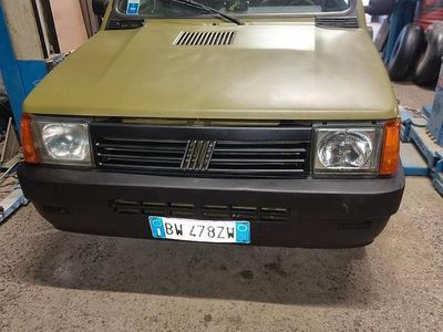 Usata Fiat Panda 4x4 54 CV (39 kW) 2001 Verde Utilitaria