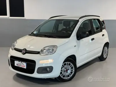 Usata Fiat Panda Easy 75 CV (55 kW) 2014 Bianco Utilitaria