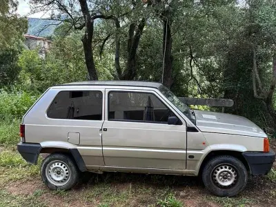 Usata Fiat Panda Young 54 CV (39 kW) 2002 Utilitaria