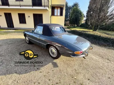 Usata Alfa Romeo Spider 109 CV (80 kW) 1966 Grigio Cabrio