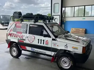 Usata Fiat Panda 4x4 50 CV (36 kW) 2024 Bianco Utilitaria