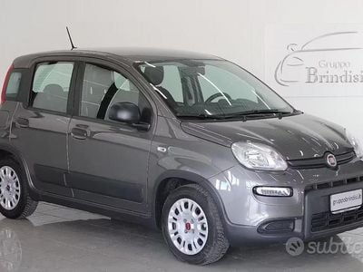 Usata Fiat Panda S 70 CV (51 kW) 2023 Grigio Utilitaria