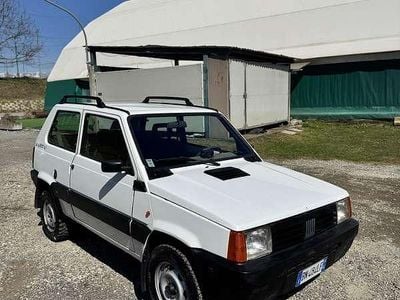 Usata Fiat Panda 4x4 Trekking 54 CV (39 kW) 2000 Bianco Utilitaria