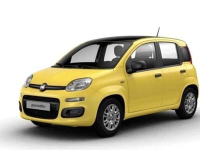 Usata Fiat Panda City Life 69 CV (50 kW) 2024 Giallo Utilitaria