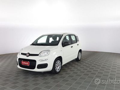 Usata Fiat Panda 69 CV (50 kW) 2021 Bianco gelato Utilitaria