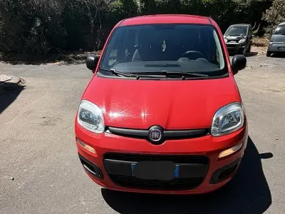 Usata Fiat Panda Lounge 80 CV (58 kW) 2017 Rosso Utilitaria