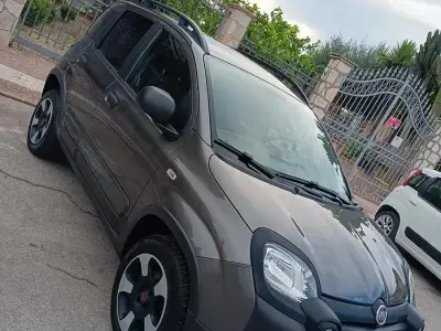 Usata Fiat Panda Cross Cross 69 CV (50 kW) 2018 Grigio Utilitaria