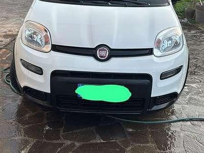 Usata Fiat Panda Sport 69 CV (50 kW) 2022 Utilitaria