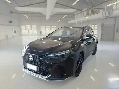 Usata Lexus NX450h+