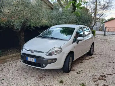 Usata Fiat Punto Active 60 CV (44 kW) 2010 Utilitaria