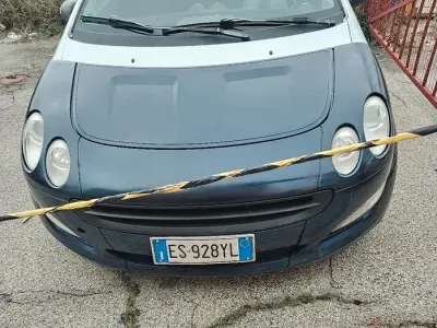 Usata Smart ForFour