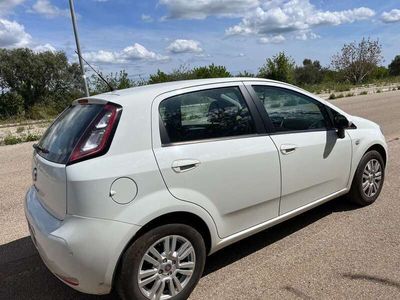 usata Fiat Punto Punto5p 1.4 easypower Pop Gpl