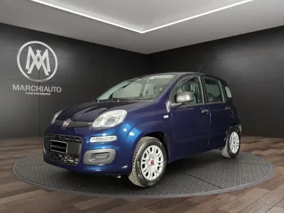 Usata Fiat Panda Easy 69 CV (50 kW) 2017 Grigio cemento pastello Utilitaria