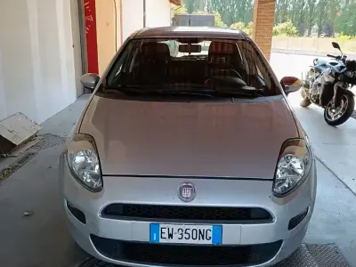 Usata Fiat Punto Evo 75 CV (55 kW) 2014 Utilitaria