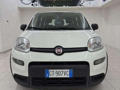 Usata Fiat Panda City Life 69 CV (50 kW) 2023 Utilitaria