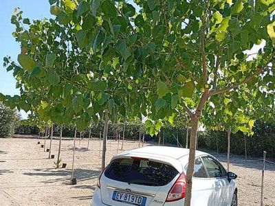 Begagnad Ford Fiesta Titanium 92 HK (67 kW) 2014 Vit Sedan