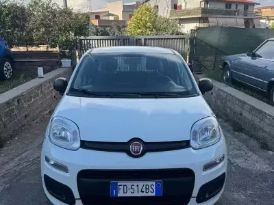 Usata Fiat Panda