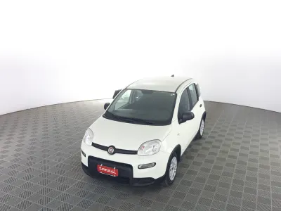 Usata Fiat Panda 69 CV (50 kW) 2023 Bianco gelato Utilitaria