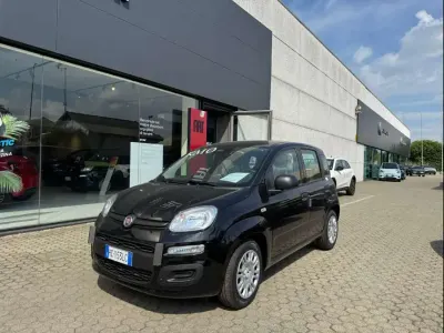 Nuova Fiat Panda Icon 65 CV (47 kW) 2025 Nero cinema Utilitaria