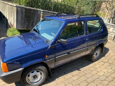Second-hand Fiat Panda 4x4 Trekking 54 CP (39 kW) 2001 Albastru Hatchback