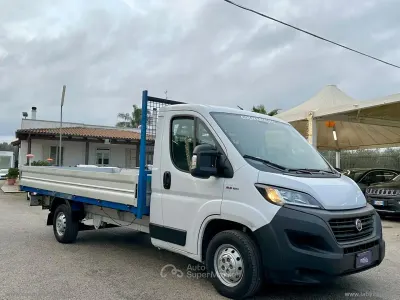 Occasion Fiat Ducato 159 ch (116 kW) 2019 Blanc Van
