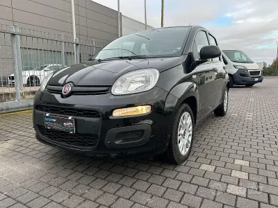 Usata Fiat Panda Easy 69 CV (50 kW) 2021 Nero Utilitaria